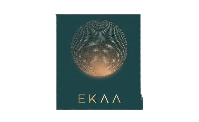 imgi_57_EKAA_Logo-removebg-preview (1)